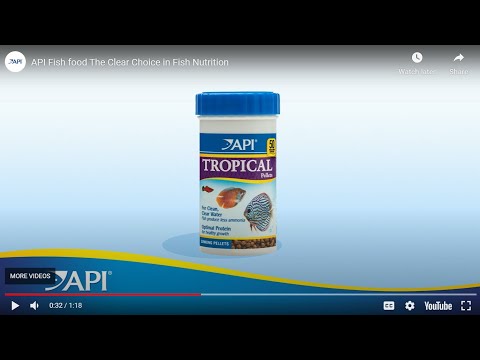 Feeding Your Fish | API Fishcare