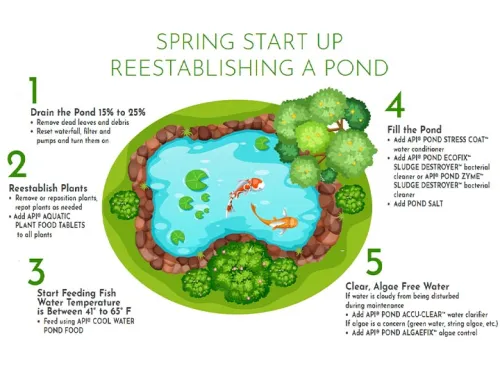 API spring start-up pond care guide for re-establishing a healthy pond
