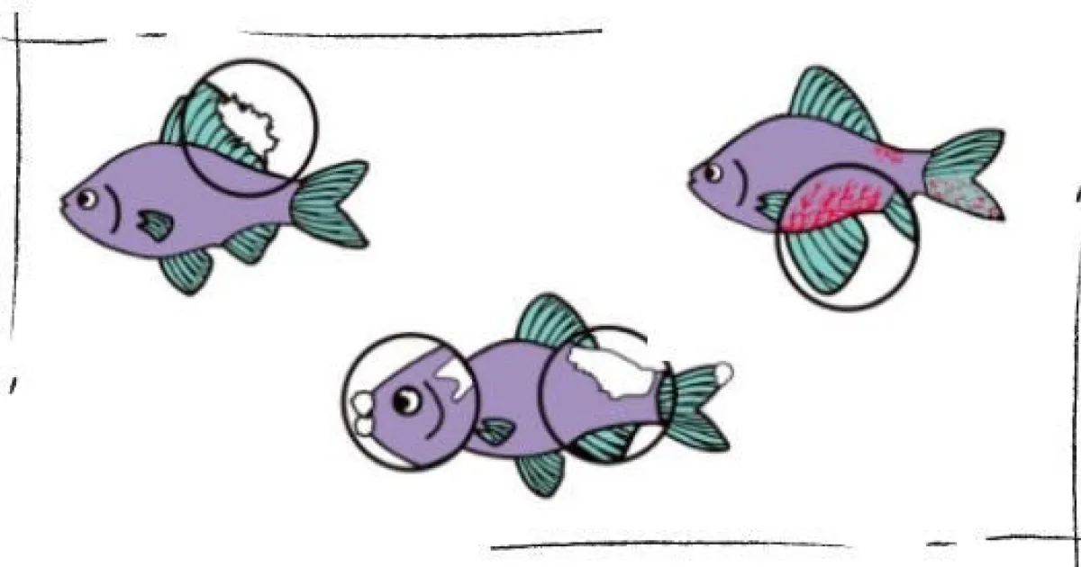 Diagnosing Your Fish and Treating with API Fish... | API Fishcare