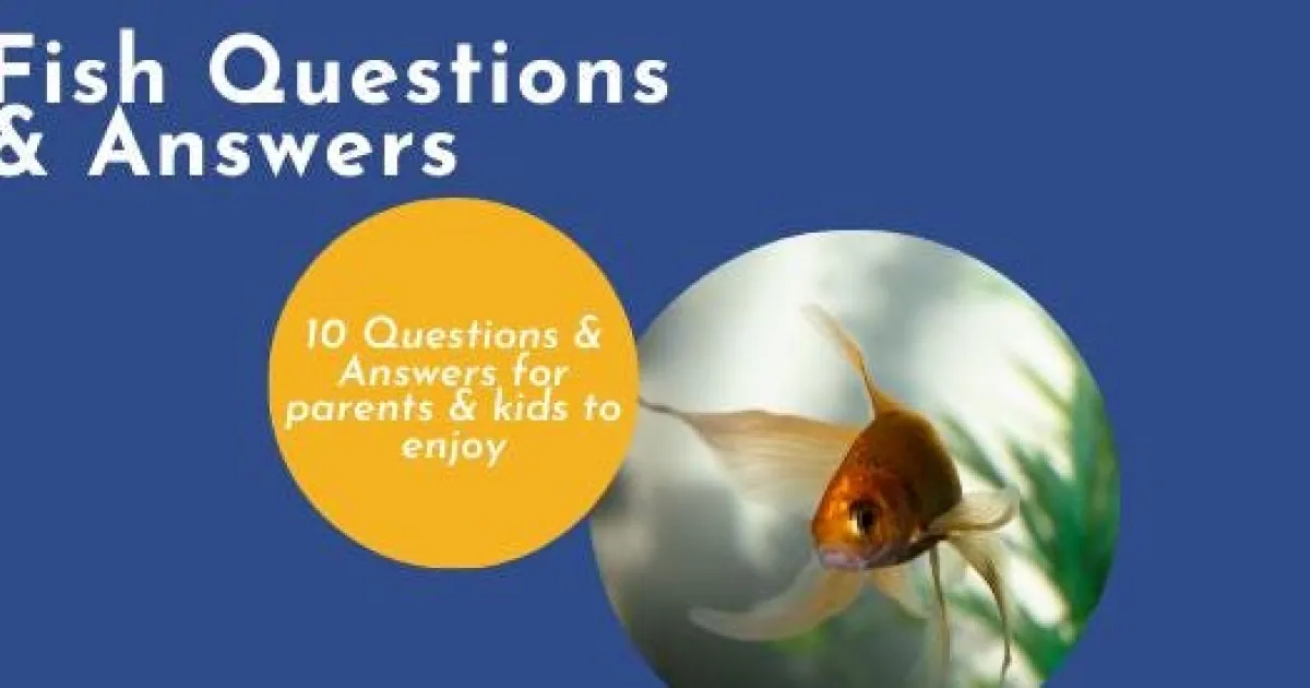 Fish Learning Fridays | Fish Questions & Answers | API Fishcare